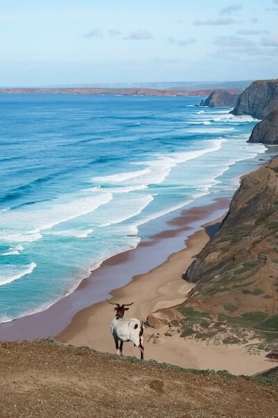 Punkt widokowy na plażę Cordoama